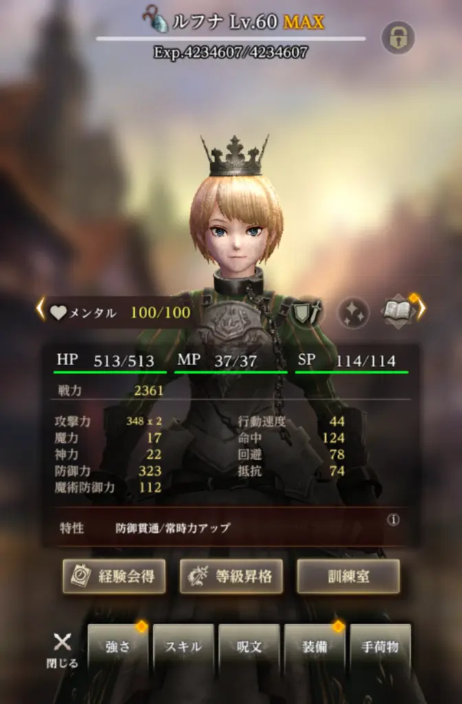 片手剣&盾持ちのラナ